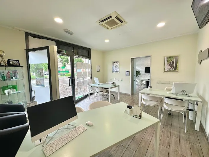 Agenzia immobiliare Tempocasa Modena – Crocetta